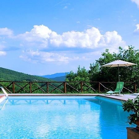 Agriturismo Badia Ficarolo Palazzo del Pero Eksteriør billede