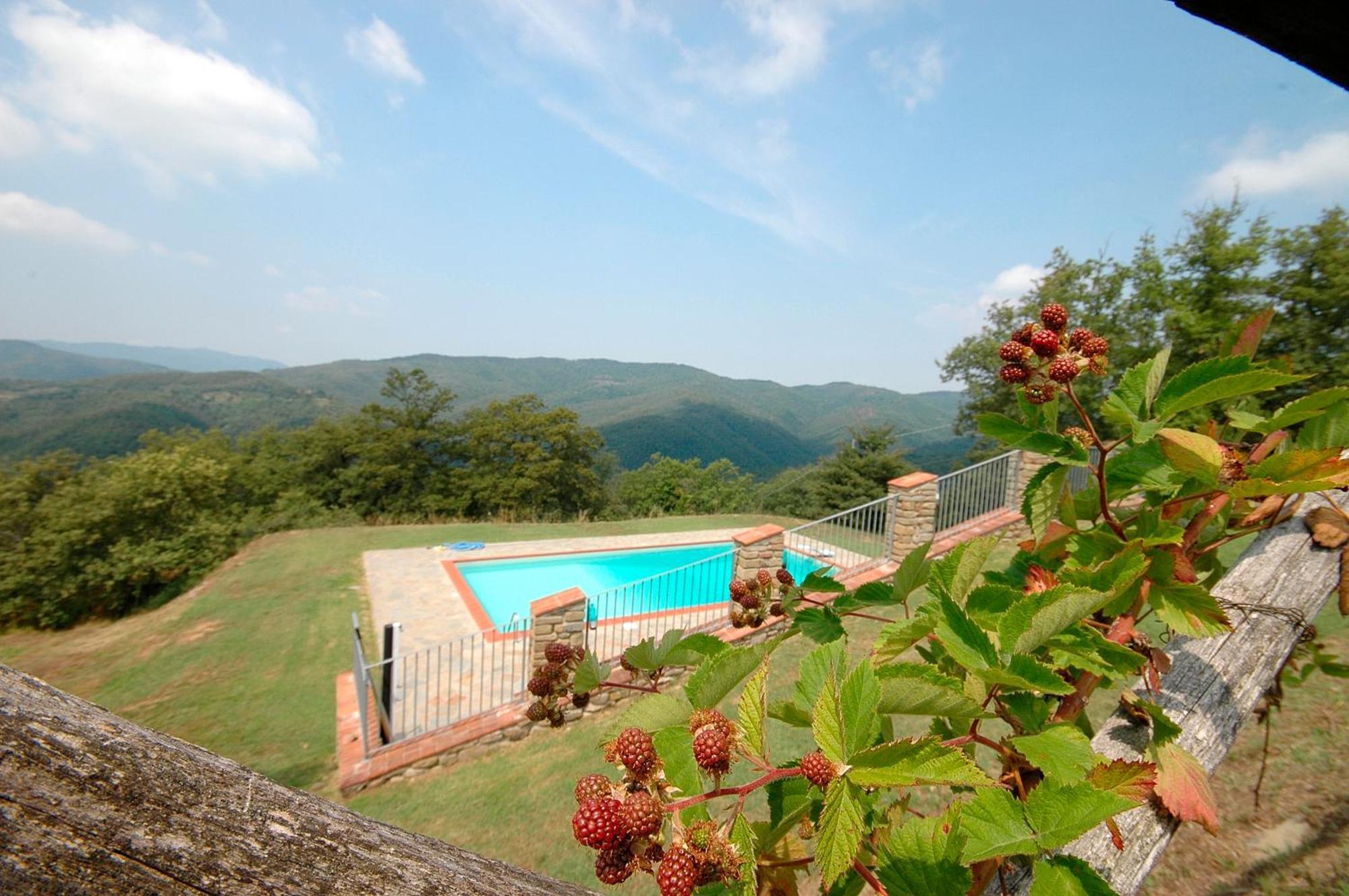 Agriturismo Badia Ficarolo Palazzo del Pero Eksteriør billede