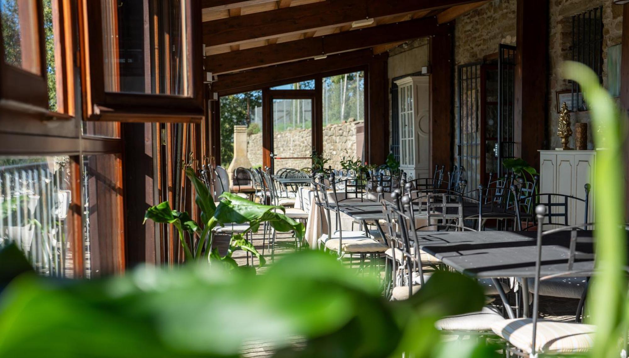 Agriturismo Badia Ficarolo Palazzo del Pero Eksteriør billede
