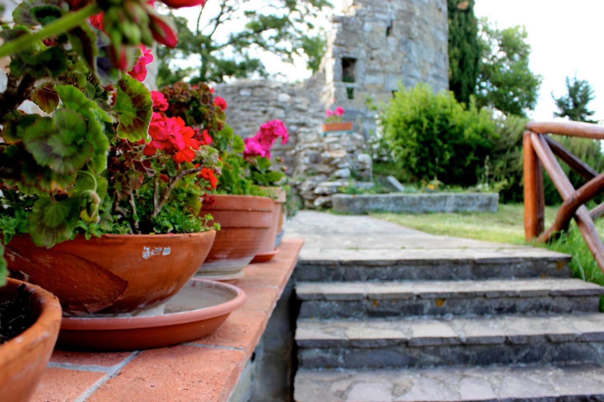 Agriturismo Badia Ficarolo Palazzo del Pero Eksteriør billede